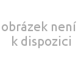 Obrázek pro produkt Polštář paměťová pěna 50x70