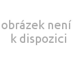 Obrázek pro produkt Polštář paměťová pěna 50x35